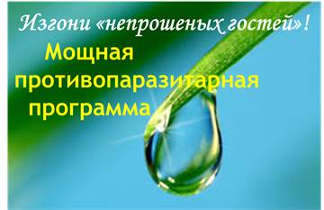 Изгони непрошеных гостей - Дудник (2016)_0.jpg